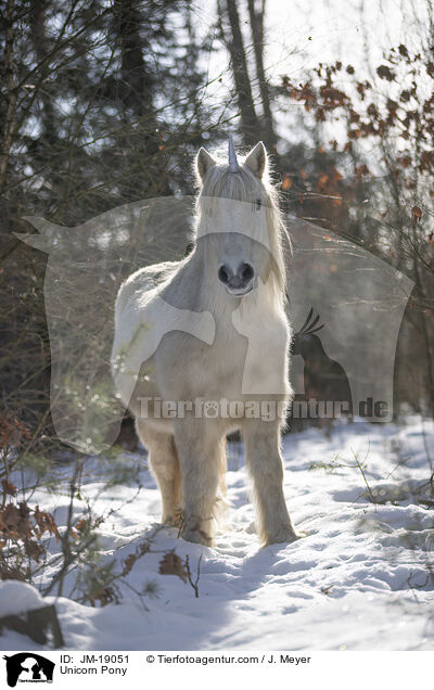 Einhorn Pony / Unicorn Pony / JM-19051