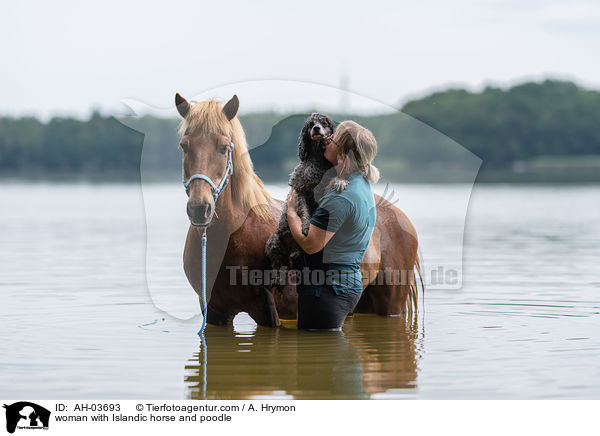 woman with Islandic horse and poodle / AH-03693
