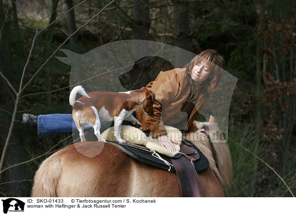 woman with Haflinger & Jack Russell Terrier / SKO-01433