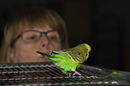woman with Budgie