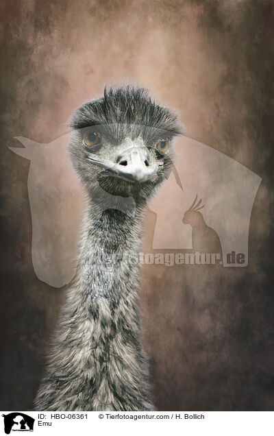 Emu / HBO-06361