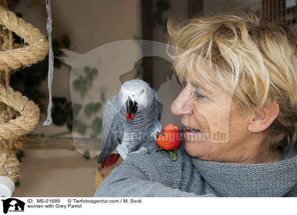 woman with Grey Parrot / MS-01686