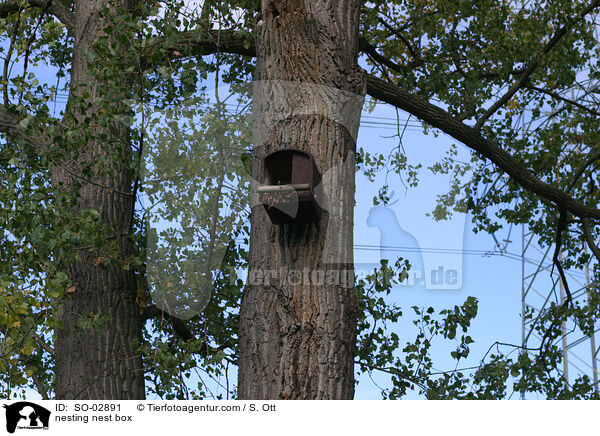 nesting nest box / SO-02891