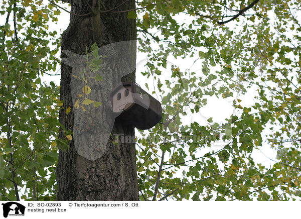 nesting nest box / SO-02893