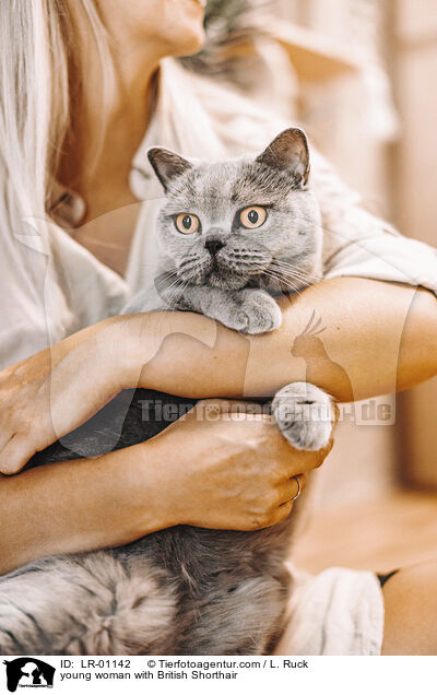 young woman with British Shorthair / LR-01142