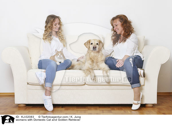 womans with Domestic Cat and Golden Retriever / KJ-02083
