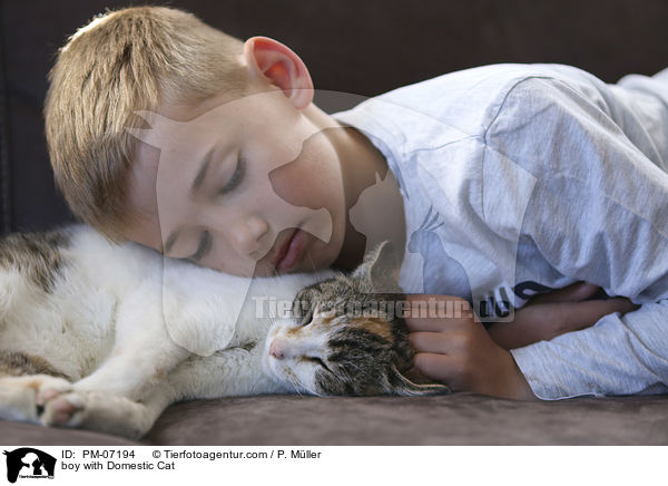 Junge mit Hauskatze / boy with Domestic Cat / PM-07194