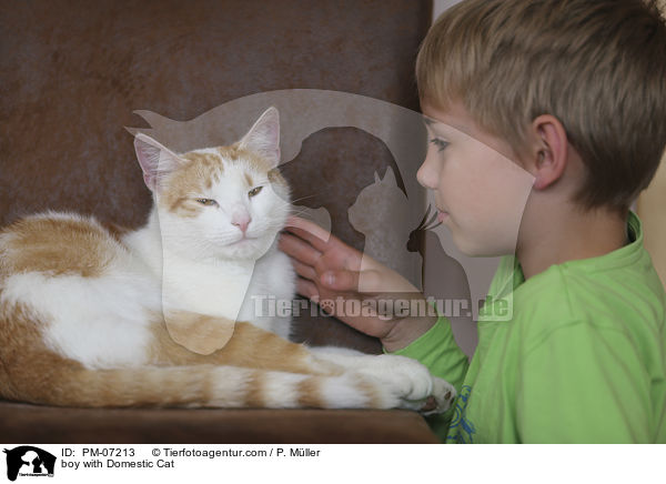 boy with Domestic Cat / PM-07213