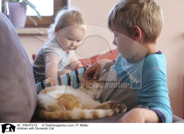 Kinder mit Hauskatze / children with Domestic Cat / PM-07215