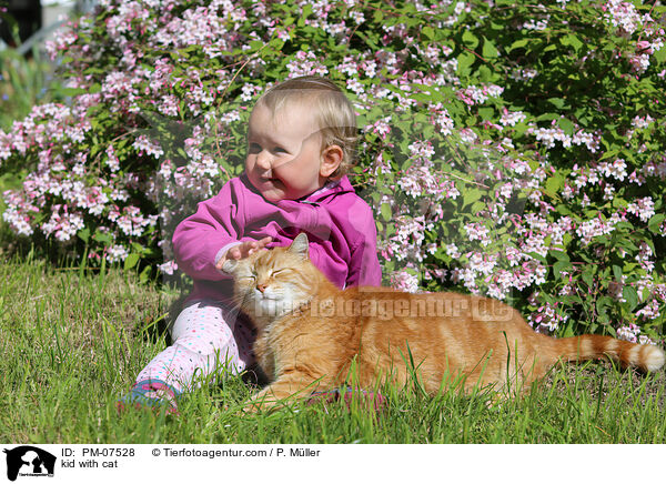 kid with cat / PM-07528