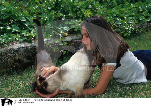 girl with siam cats / MS-01681