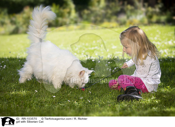 Mdchen mit Sibirische Katze / girl with Siberian Cat / RR-103570