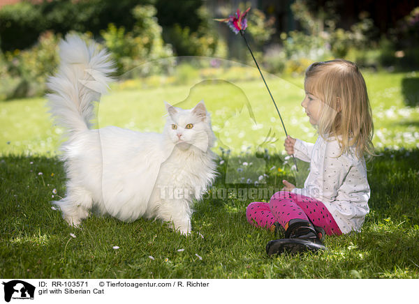 Mdchen mit Sibirische Katze / girl with Siberian Cat / RR-103571