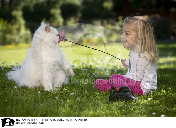 Mdchen mit Sibirische Katze / girl with Siberian Cat / RR-103577