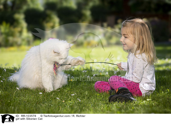 girl with Siberian Cat / RR-103578