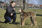 woman and sighthound