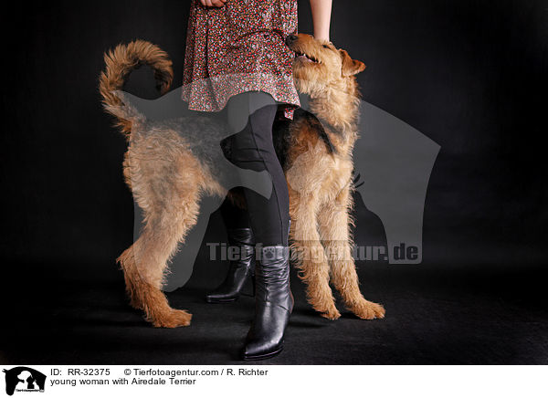 young woman with Airedale Terrier / RR-32375