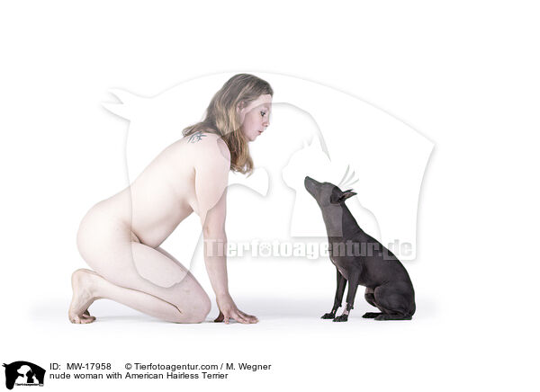 nude woman with American Hairless Terrier / MW-17958