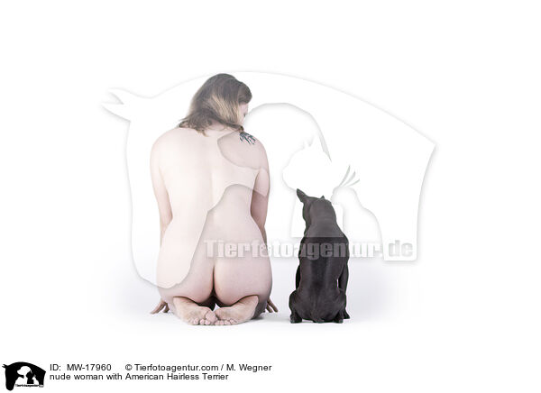 nude woman with American Hairless Terrier / MW-17960