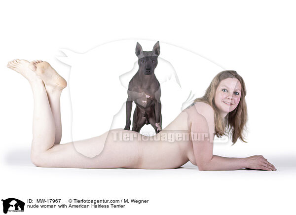 nude woman with American Hairless Terrier / MW-17967