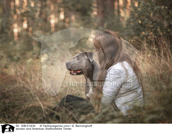woman and American Staffordshire Terrier / SIB-01830