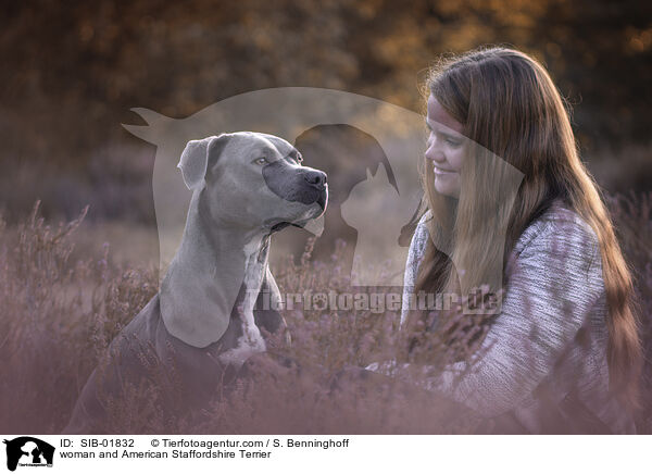 woman and American Staffordshire Terrier / SIB-01832