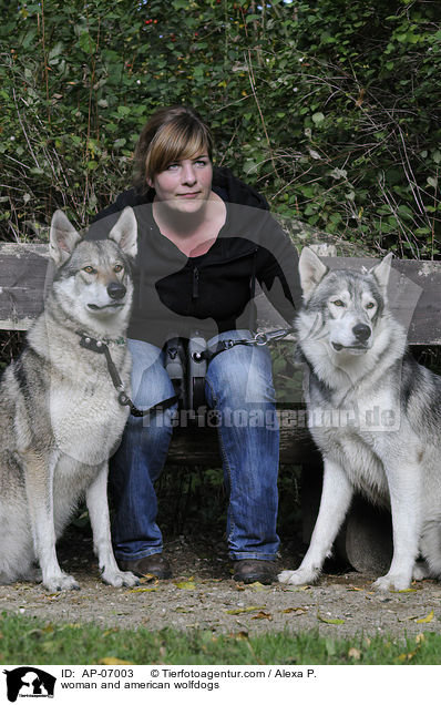 woman and american wolfdogs / AP-07003