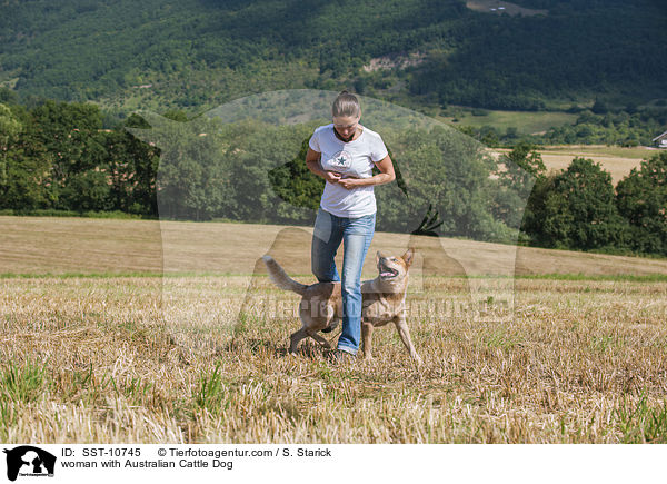 woman with Australian Cattle Dog / SST-10745