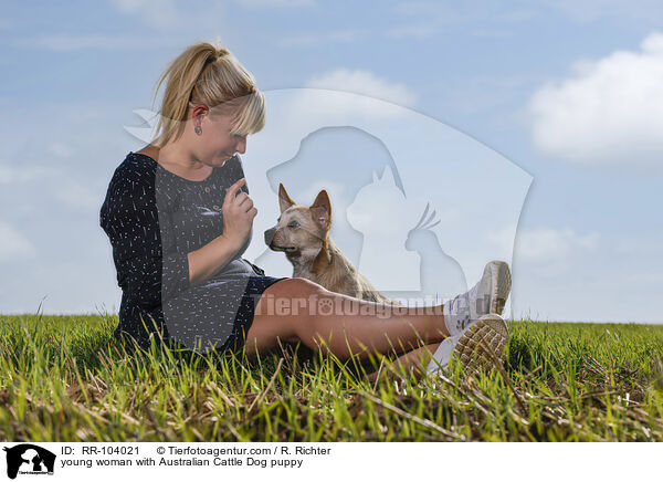 young woman with Australian Cattle Dog puppy / RR-104021