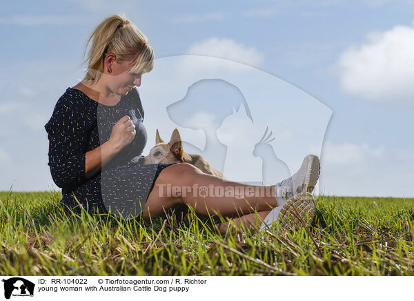 young woman with Australian Cattle Dog puppy / RR-104022