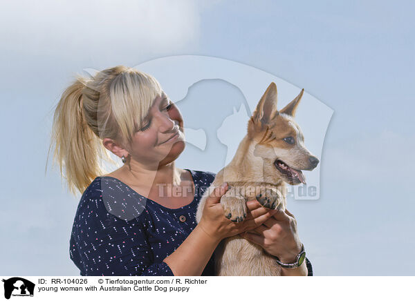 young woman with Australian Cattle Dog puppy / RR-104026
