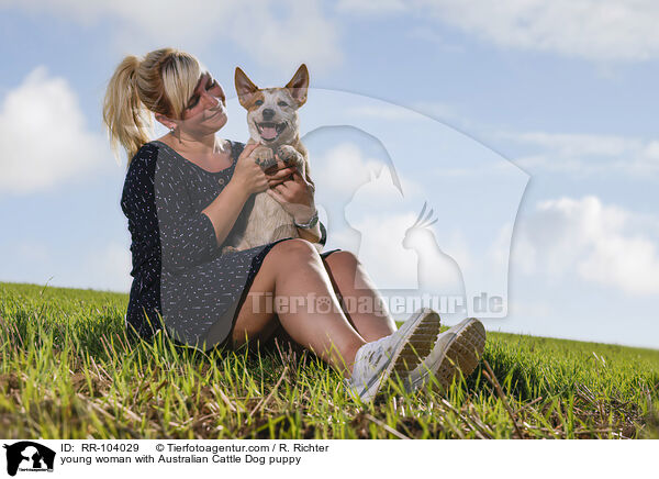 young woman with Australian Cattle Dog puppy / RR-104029