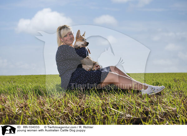 young woman with Australian Cattle Dog puppy / RR-104033