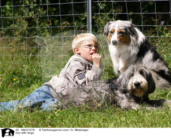 boy with dogs / AM-01079