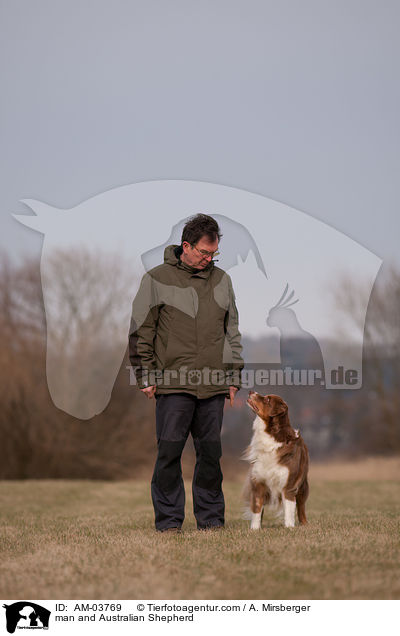 man and Australian Shepherd / AM-03769