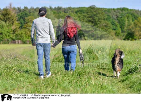 humans with Australian Shepherd / YJ-16188