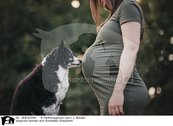 Schwangere und Australian Shepherd / pregnant woman and Australian Shepherd / JEB-02040