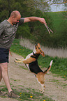man playing with beagle