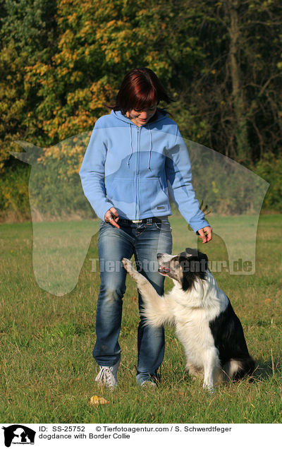 dogdance with Border Collie / SS-25752
