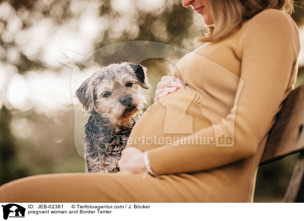 pregnant woman and Border Terrier / JEB-02381
