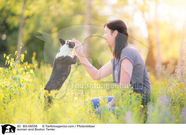 woman and Boston Terrier / BS-08556