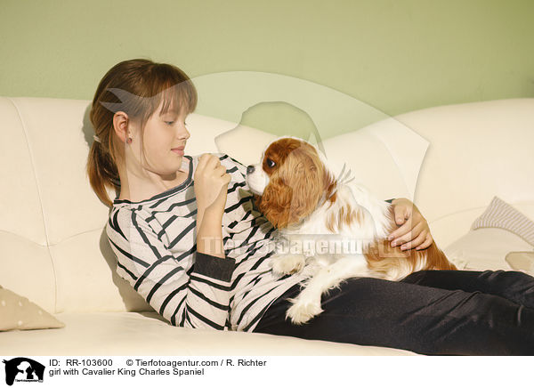 girl with Cavalier King Charles Spaniel / RR-103600
