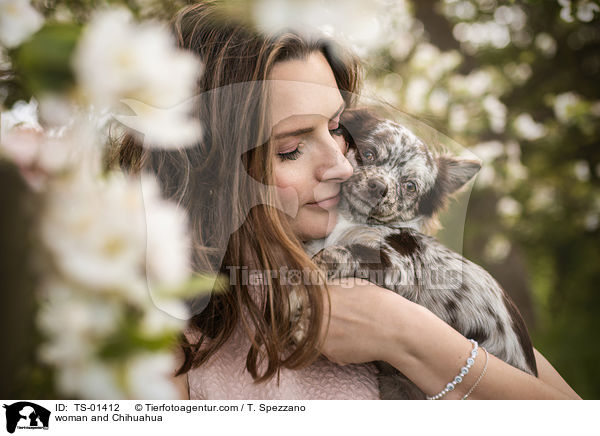 woman and Chihuahua / TS-01412