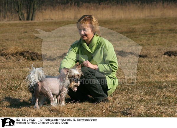 woman fondles Chinese Crested Dogs / SS-21923
