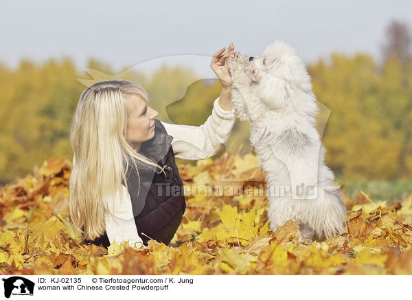 woman with Chinese Crested Powderpuff / KJ-02135