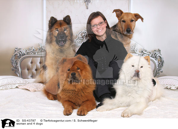 woman and 4 dogs / SS-43787