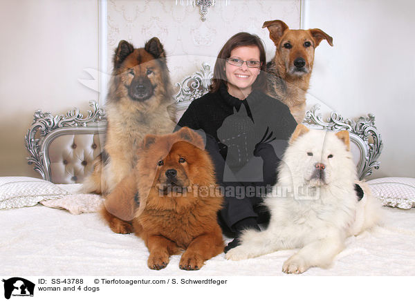 woman and 4 dogs / SS-43788