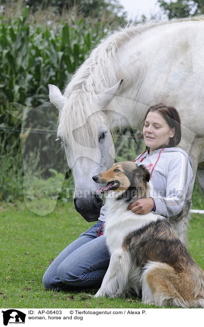 woman, horse and dog / AP-06403