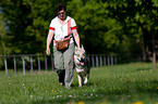woman and Czechoslovakian wolfdog