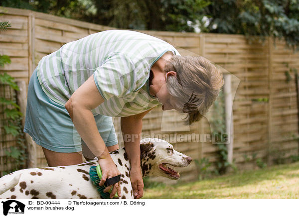 woman brushes dog / BD-00444